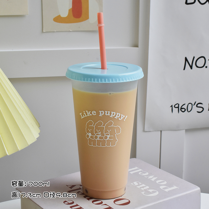 Plastic Water Bottle Cute Coff - Coffee Tea Equipment recension och pris
